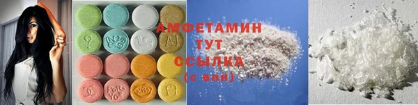 индика Алзамай