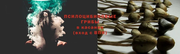 хмурый Алексеевка
