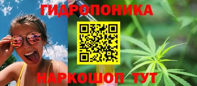 тгк Кандалакша