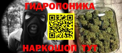 ALPHA PVP Камышлов