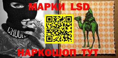 тгк Кандалакша
