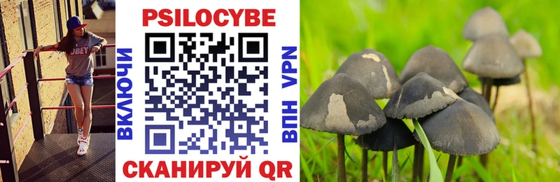 Галлюциногенные грибы ЛСД  где найти   Истра 